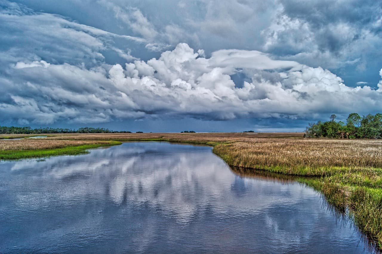 블랙홀은 정보를 삼키는 듯 보이지만, 현대 물리학은 정보가 완전히 사라지지 않는다고 본다. 홀로그래피 원리와 양자얽힘에 따르면 물질은 소멸해도 정보는 형태를 바꿔 우주에 남는다.