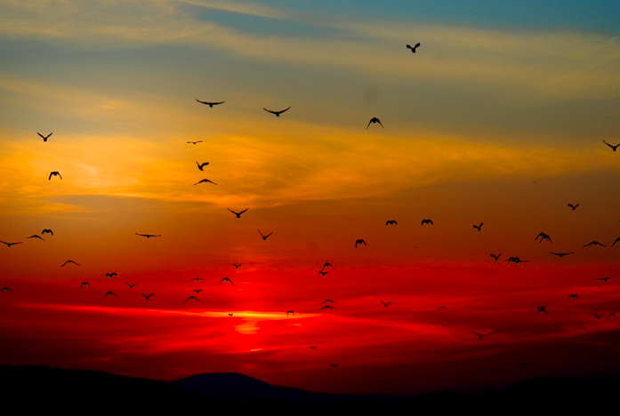 Sunset