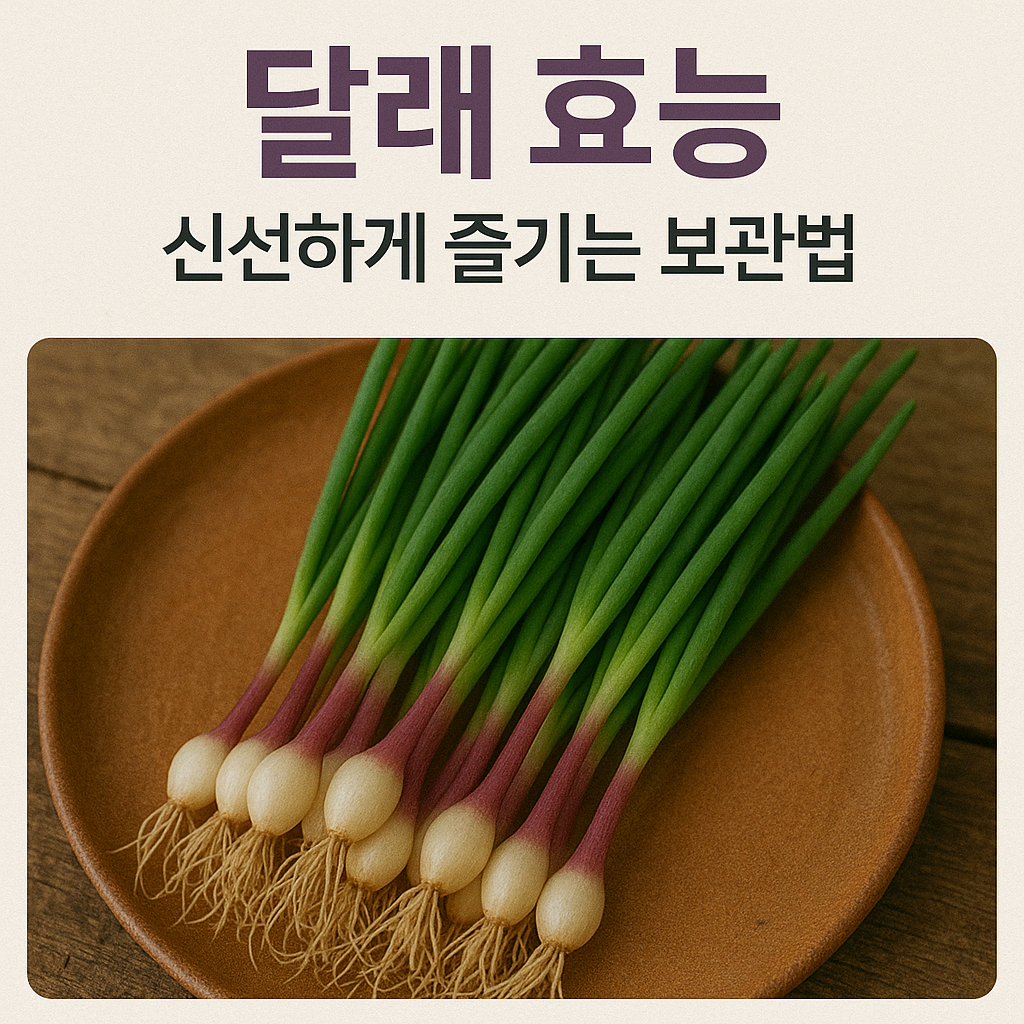달래 효능