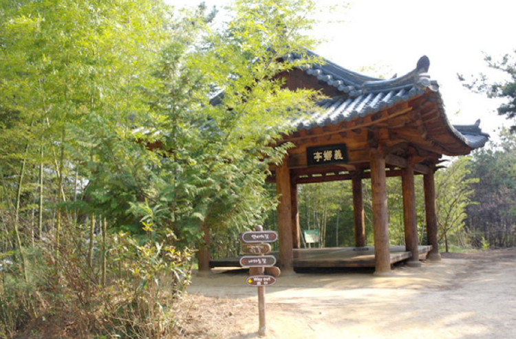 담양 죽녹원