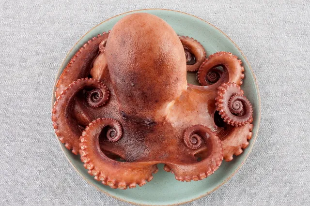 문어 삶는법 문어 요리 레시피_6