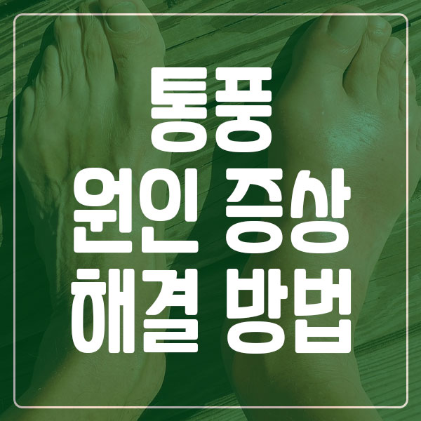 통풍 원인 증상 해결 방법