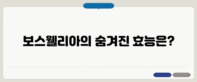 보스웰리아 효능 확인하기 관절염 통증 완화로 인기