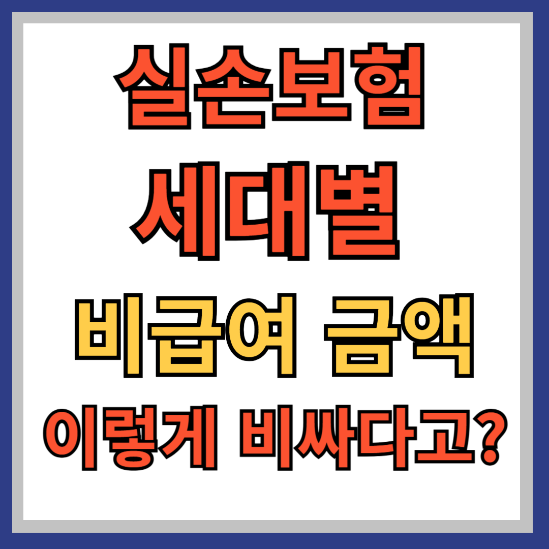 실손보험 비급여