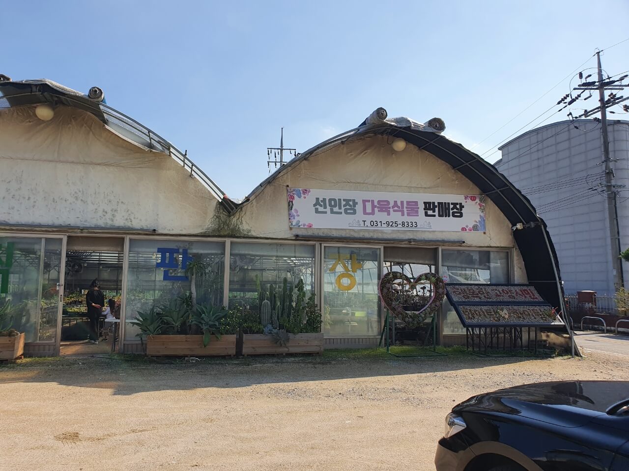 다육이판매점