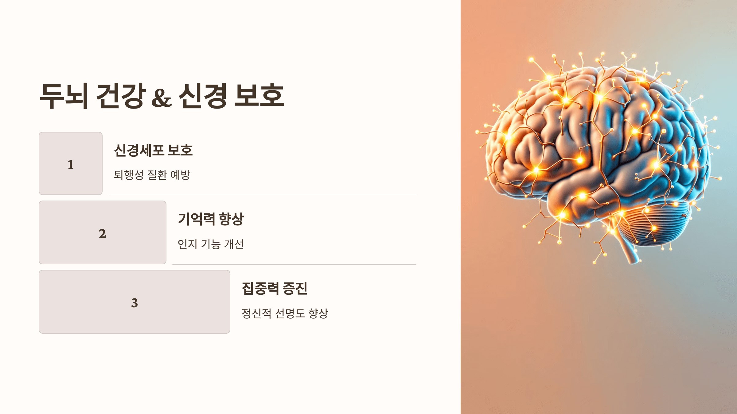 보스웰리아와 관련된 사진입니다.
