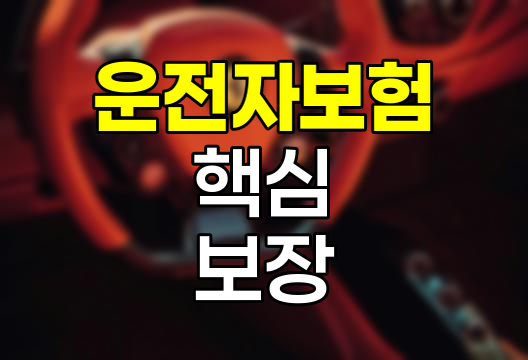운전자보험 핵심 보장내용 및 선택 기준