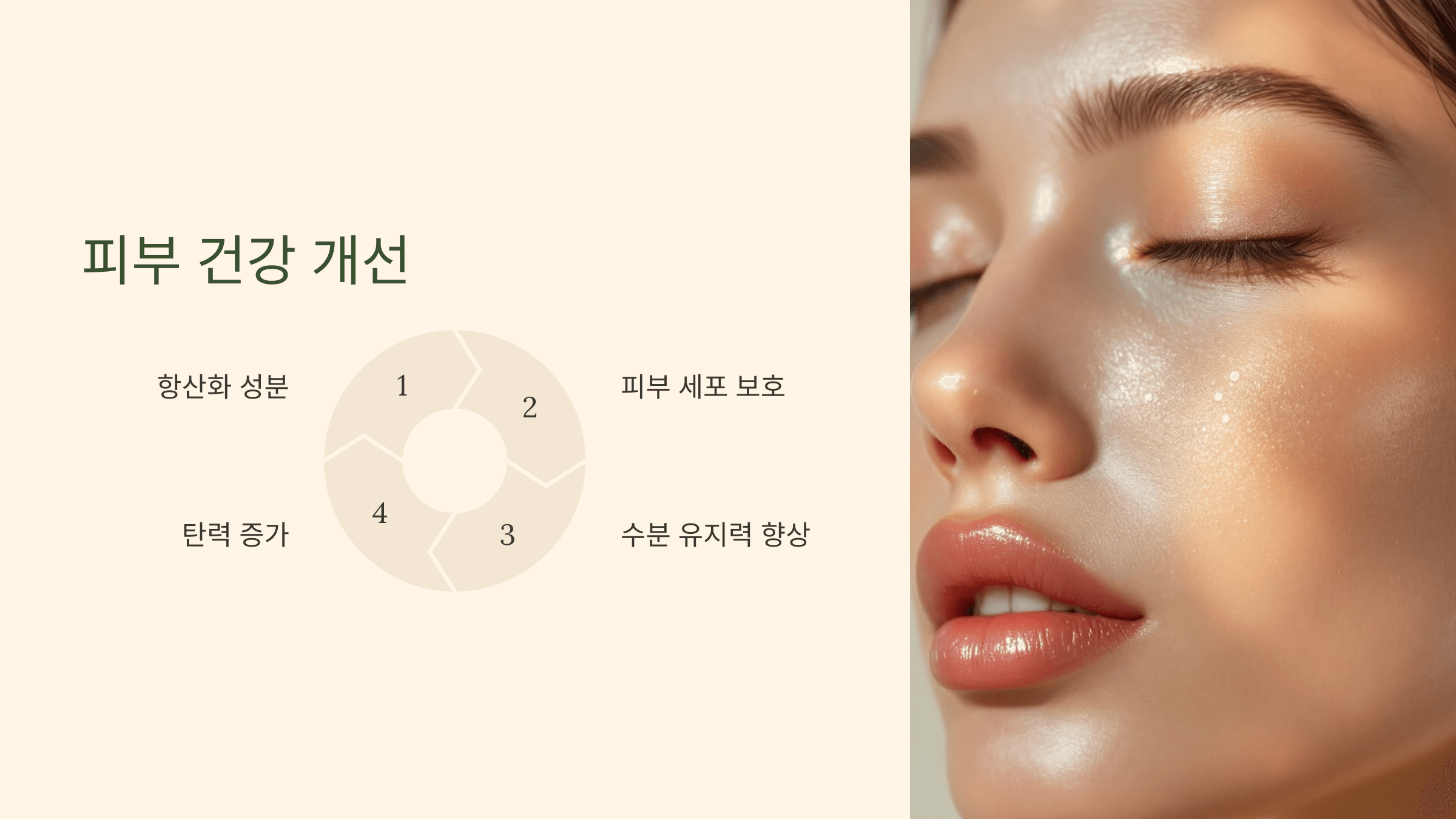 파로 효소와 관련된 사진입니다.