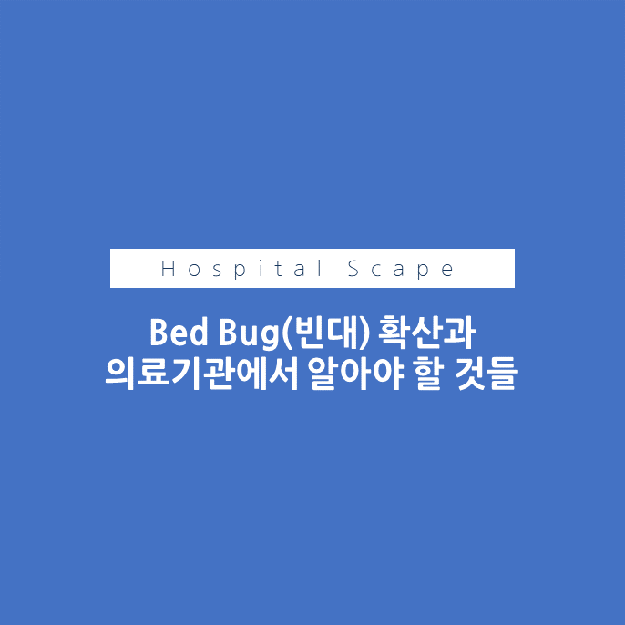 bed bug-빈대-의료기관-빈대확산-빈대 조치사항