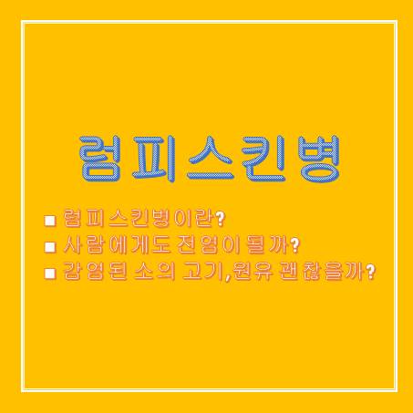 럼피스킨병 썸네일