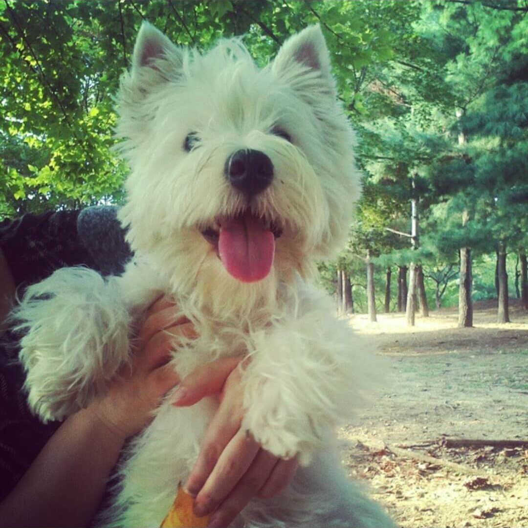 주말 여행지 추천