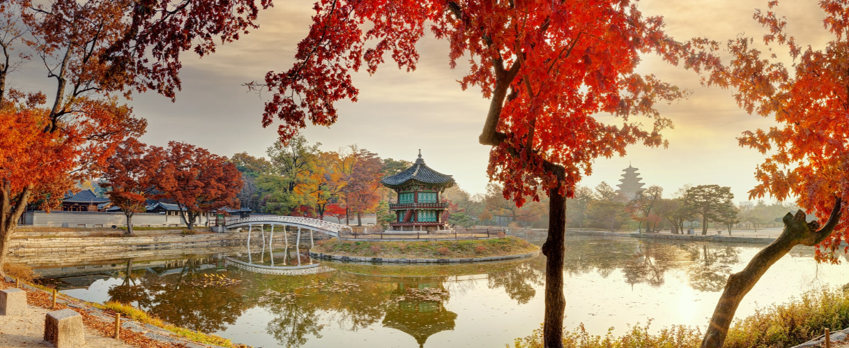 경복궁 야간개장 한복대여