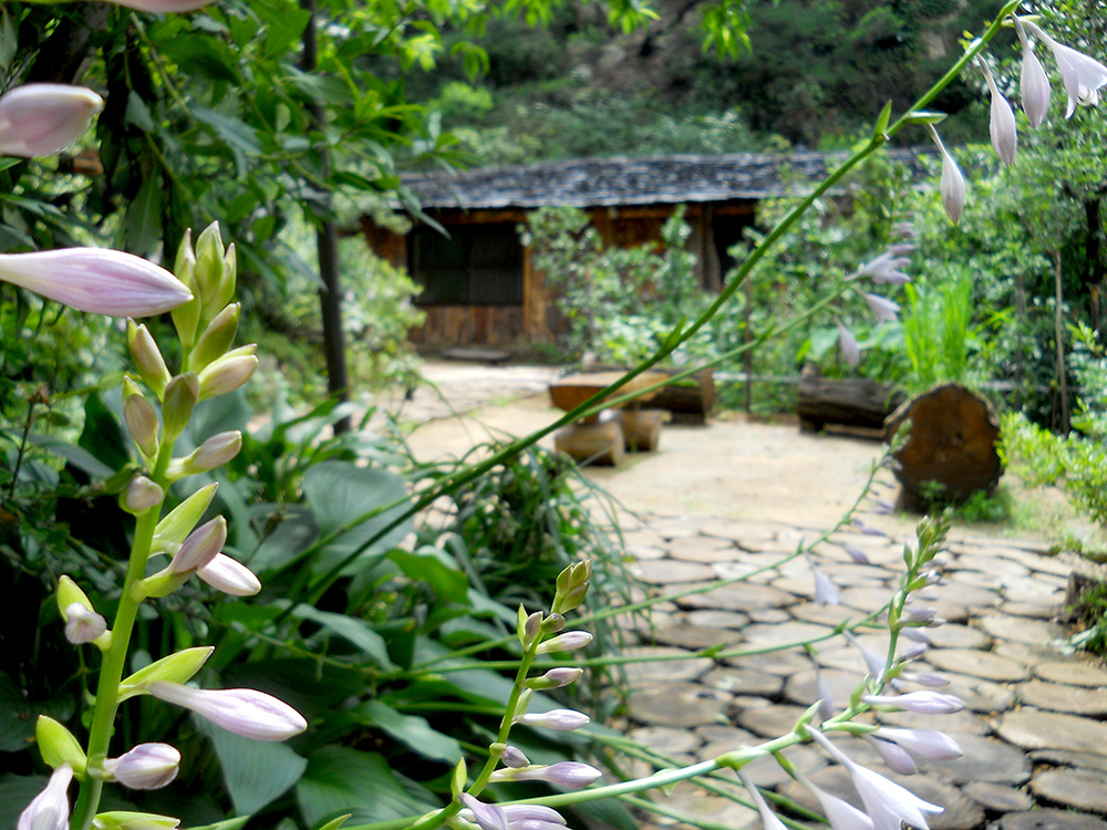 비가온 후 안산자락길(AnsanJarakgil)