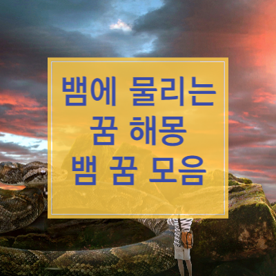뱀에 물리는 꿈 썸네일
