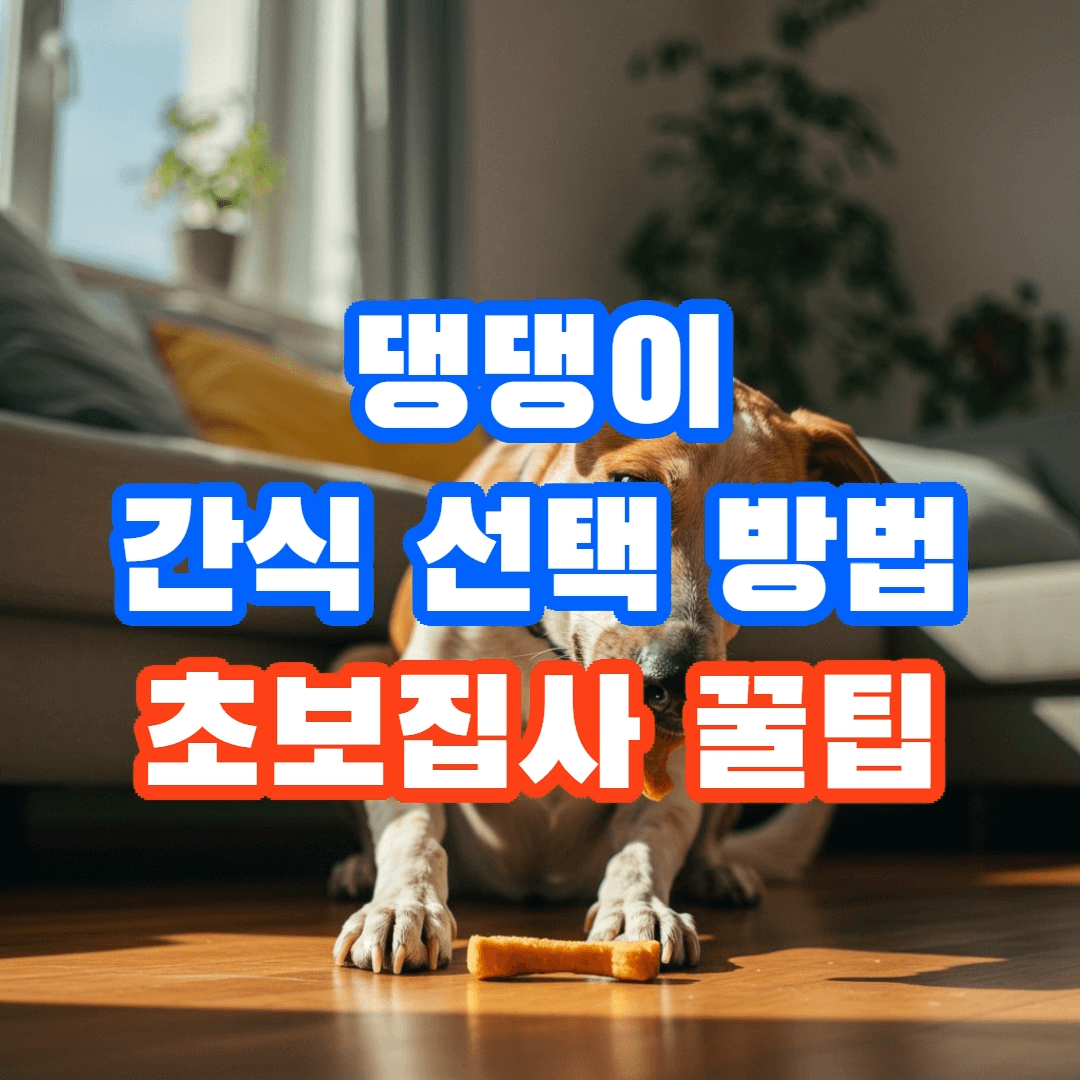 반려견 간식 추천 가이드, 초보 주인을 위한 꿀팁🐾