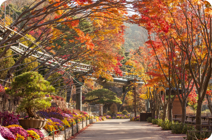 화담숲에서 10월 24일부터 11월 16일까지 단풍 축제가 열린다. [ 사진=화담숲=매일경제]