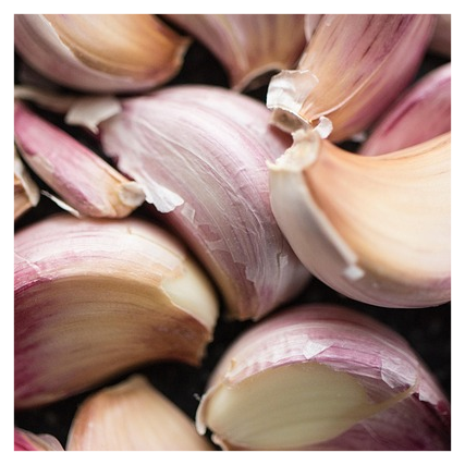 위고비 추천대상3