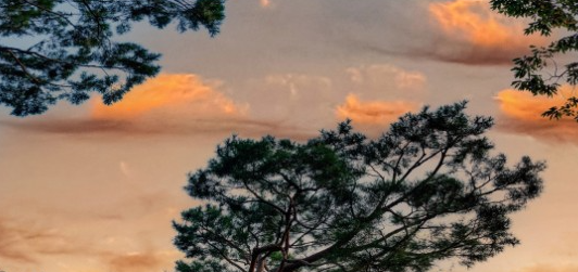 경복궁 야간개장 인터넷예매