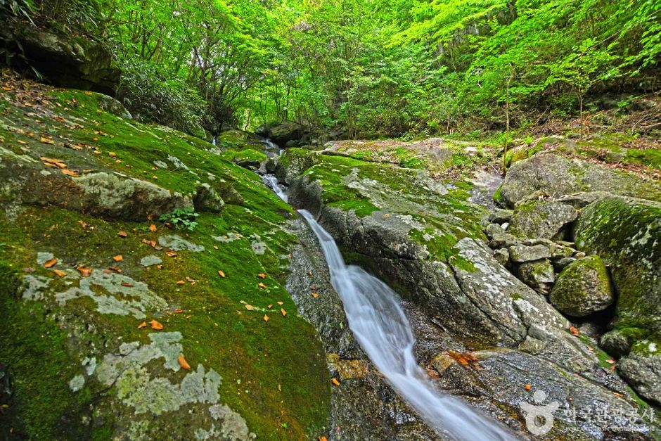 장수 가볼만한곳 베스트10