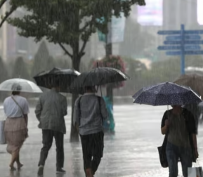 올해 장마시기6