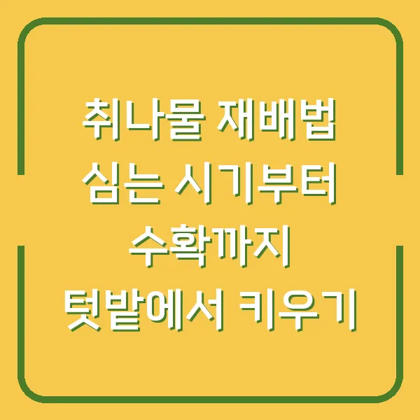 취나물 재배법 심는 시기부터 수확까지 텃밭에서 키우기