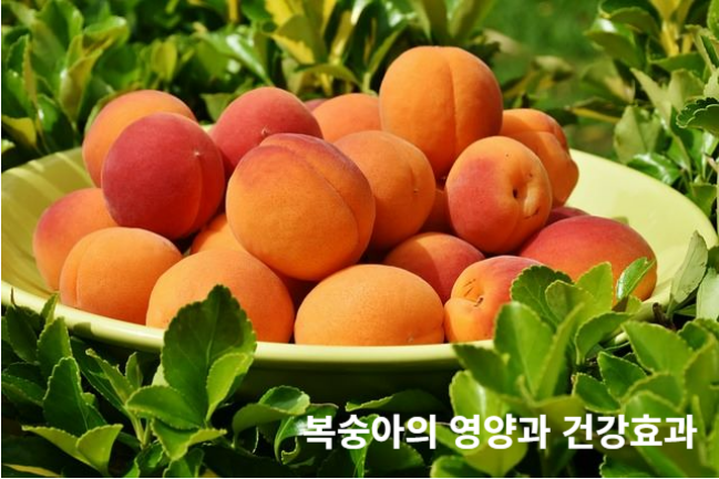 복숭아