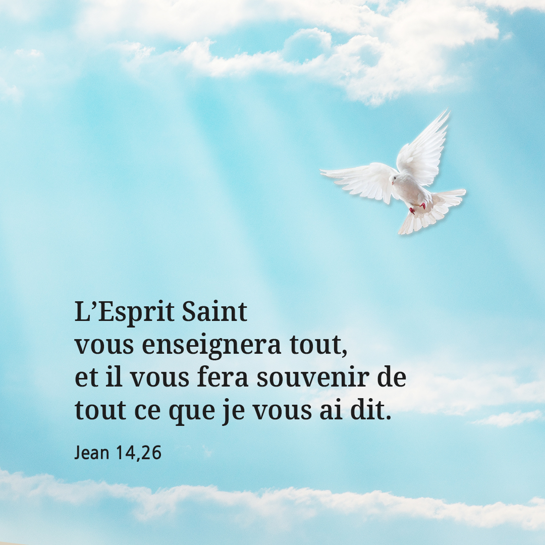 L’Esprit Saint vous enseignera tout, et il vous fera souvenir de tout ce que je vous ai dit. (Jean 14,26)