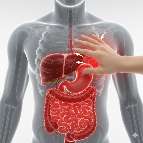 담석증 자가진단 이미지