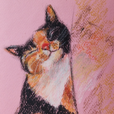 고양이비비기 그림