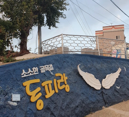 문화와 바다의 조화: 통영 동피랑 마을