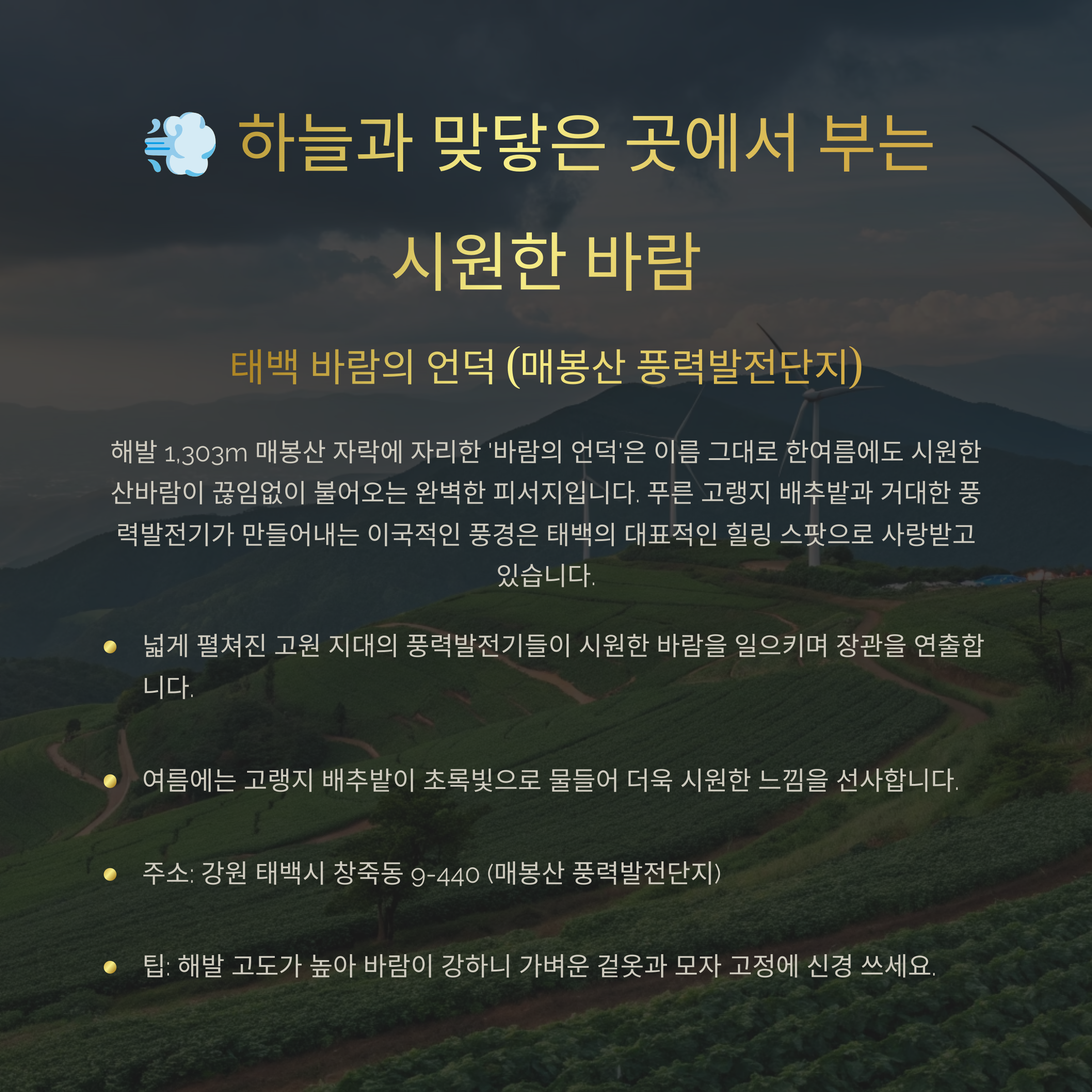 태백 바람의 언덕 (매봉산 풍력발전단지): 시원한 바람이 머무는 곳