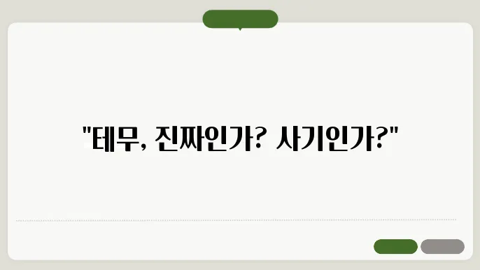 테무 사용자 후기