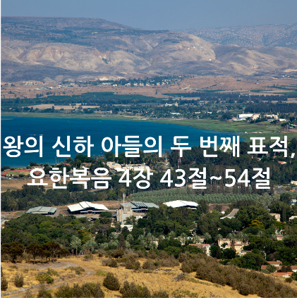 왕의 신하 아들의 두 번째 표적, 요한복음 4장 43절~54절