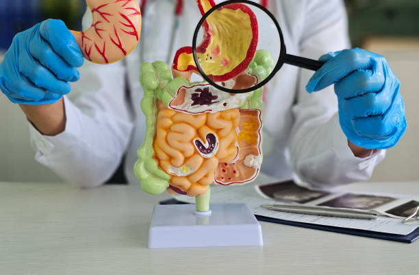 소화제 종류와 추천