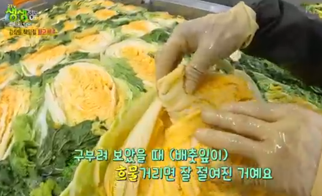 솔바위농장 해남배추