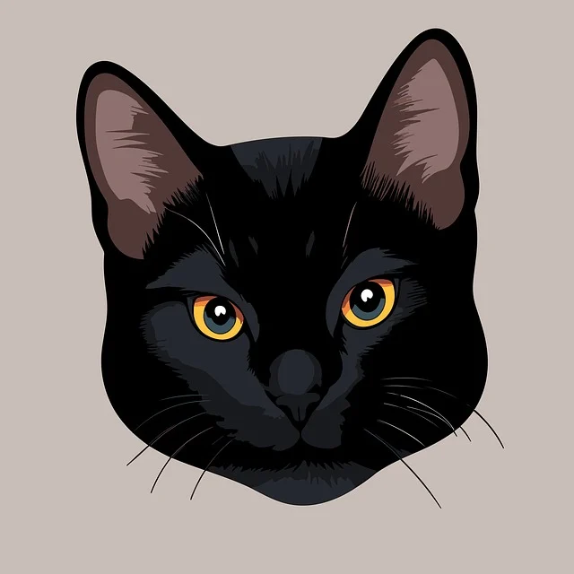고양이 심장 비대증