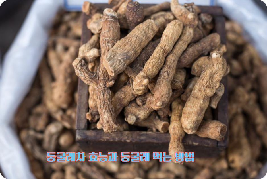 둥굴레차 효능과 둥굴레 먹는 방법
