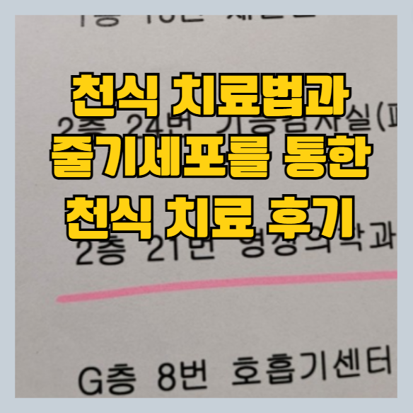 천식 치료법과 줄기세포를 통한 천식치료 후기 썸네일