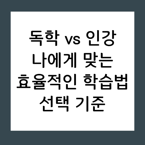 독학 vs 인강 나에게 맞는 효율적인 학습법 선택 기준