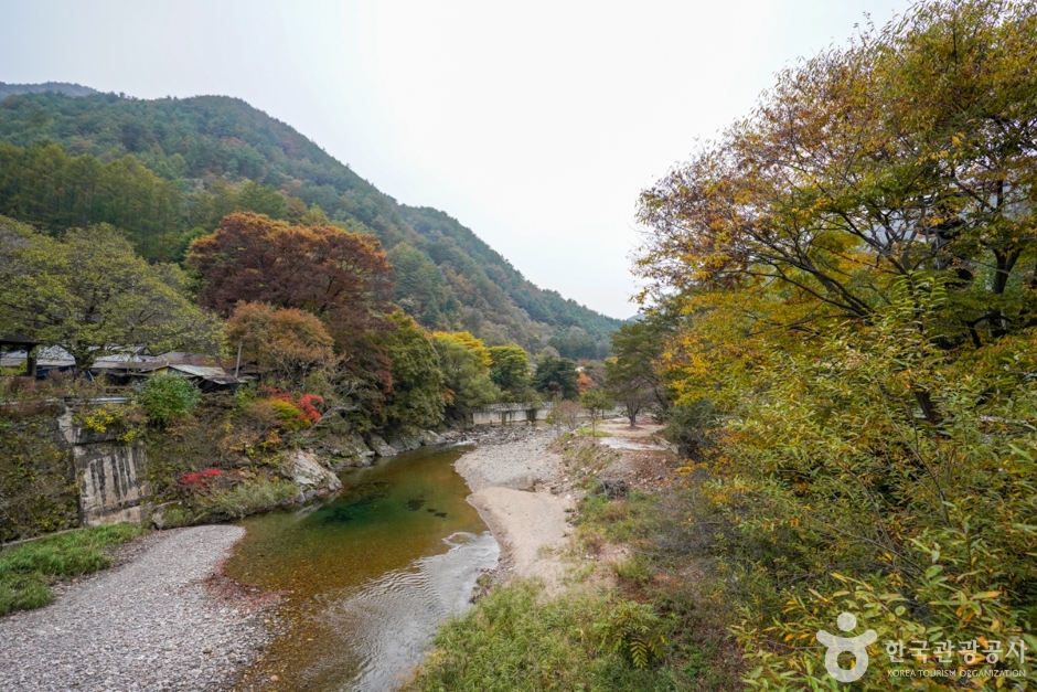 봉화 가볼만한곳 베스트10