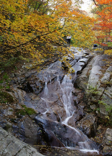 강원도 2025 단풍 산행 추천 코스 ❘ 설악산&middot;오대산&middot;치악산 절정 시기 안내