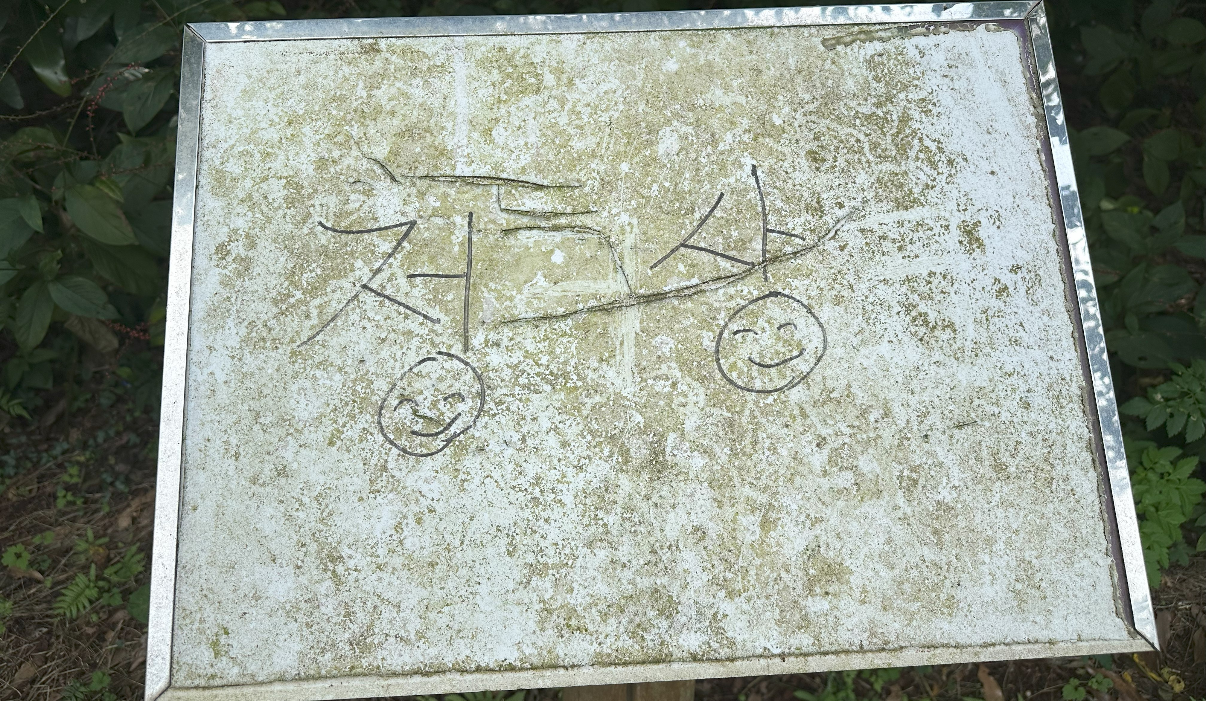 북오름 정상