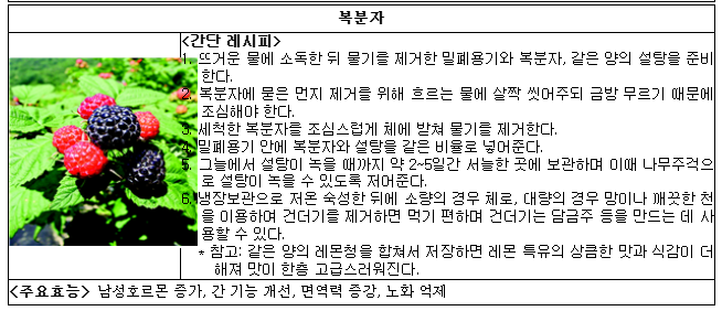 농촌진흥청 발표! 무더위 이기는 5가지 약초청 완벽 제작법 (출처 : 농촌진흥청)