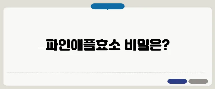 파인애플효소 정리 처음 접하는 분들을 위해