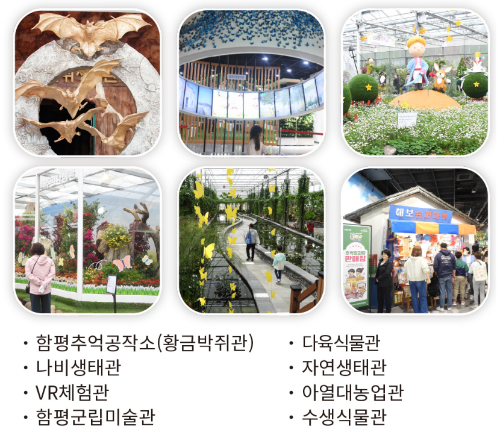 함평 나비대축제