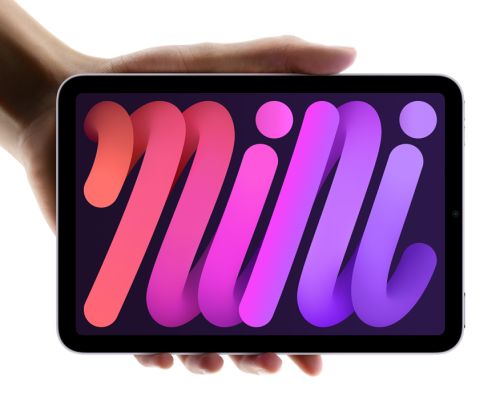 아이패드 미니 7세대(사진 : 애플 홈페이지)