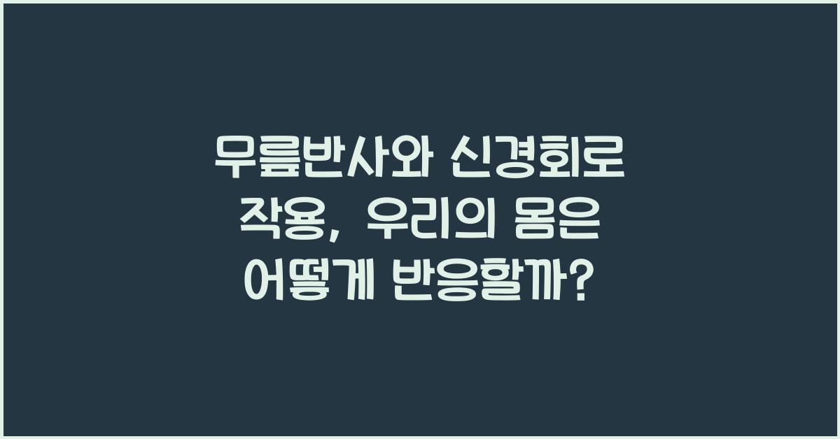 무릎반사, 신경회로 작용