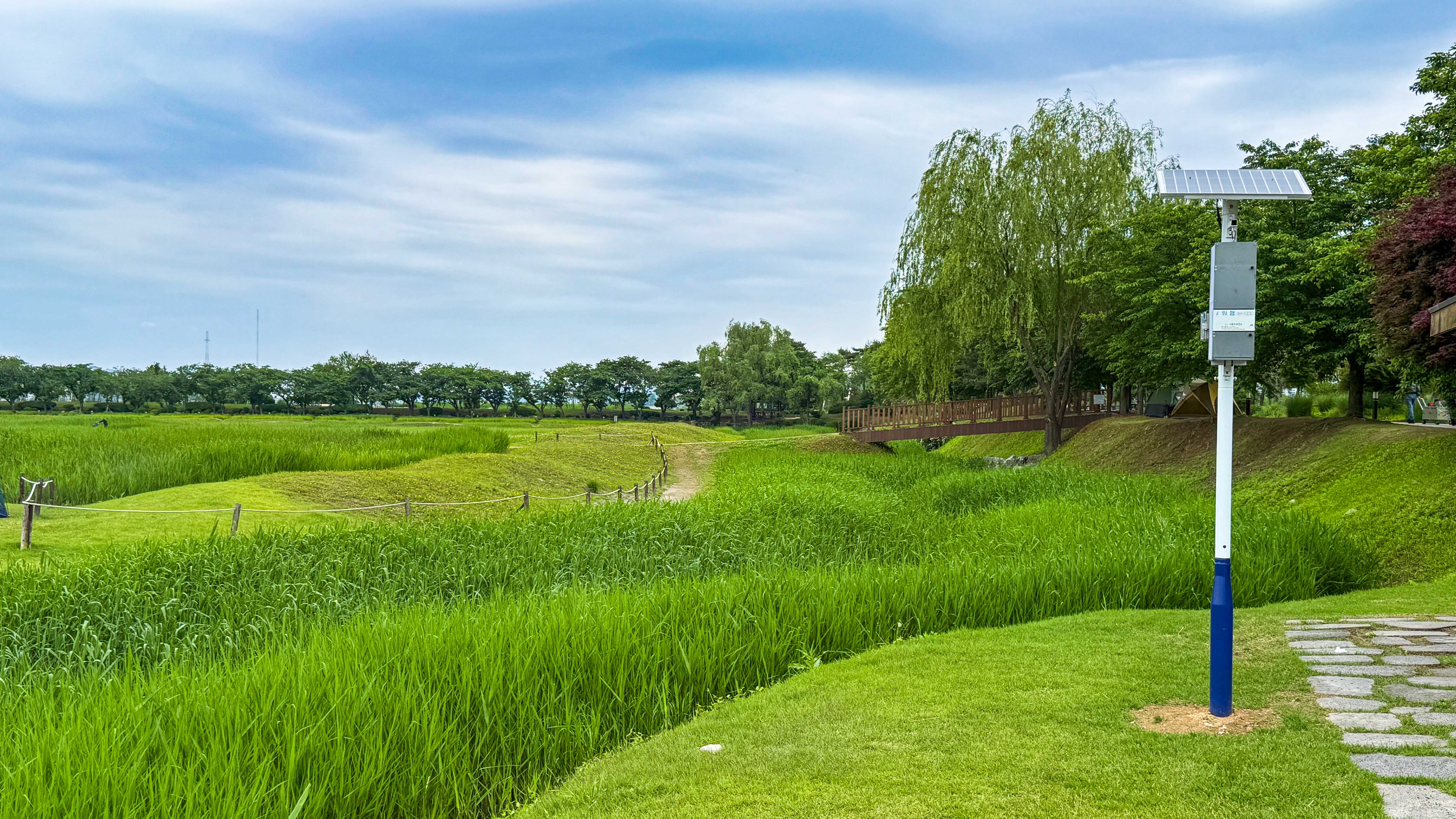 시흥갯골생태공원