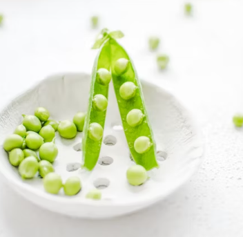 완두콩 효능 부작용 영양성분 먹는법 고르는법