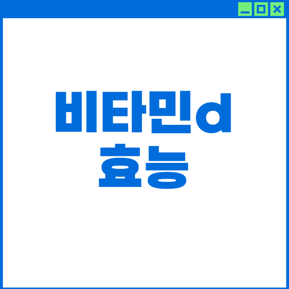 비타민D 효능